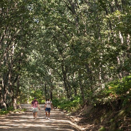 Casa Rural La Nava Navaluenga Bagian luar foto